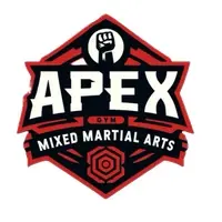 MMA gym training session